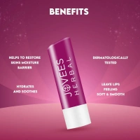 JOVEES HERBAL CARE Berry Hyaluronic Acid Lip Balm - Jovees  - 5G