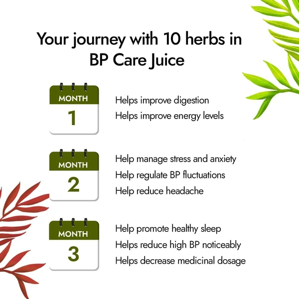 KAPIVA BP Care Juice - Kapiva - 1l