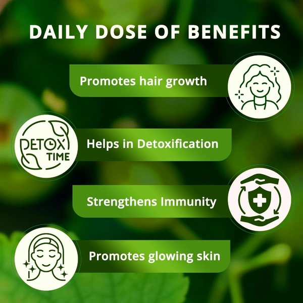 Vansaar Amla Juice - Vansaar - 1L