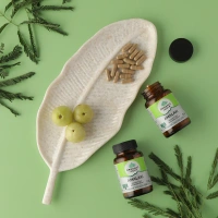 ORGANIC INDIA Amalaki Capsule - Organic - 60Capsule