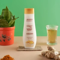 JOVEES HERBAL CARE Ginger Spa Dry Therapy Shampoo - Jovees - 300ml