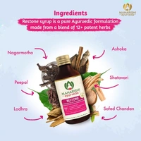 MAHARISHI AYURVEDA  Restone Syrup - Maharishi - 200ml