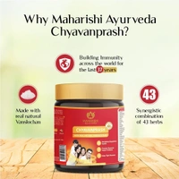 MAHARISHI AYURVEDA  Chyavanaprasha - Maharishi - 500g