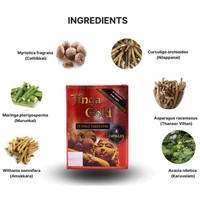 LINCS PHARMA Jinga Gold Capsule-LINCS PHARMA - 4 Capsule