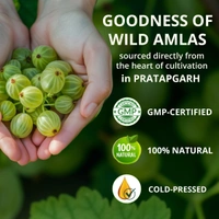 Vansaar Amla Juice - Vansaar - 1L