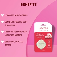 JOVEES HERBAL CARE Sugar & Rose Petal Lip Balm - Jovees  - 8G
