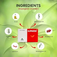 ALOPA HERBAL HEALTHCARE Alopagesic Tablet - Alopa Health - 100 Tablet