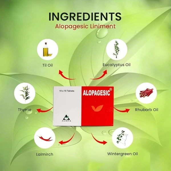 ALOPA HERBAL HEALTHCARE Alopagesic Tablet - Alopa Health - 100 Tablet