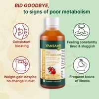 Vansaar Pro Metabolism  - Vansaar - 500Ml