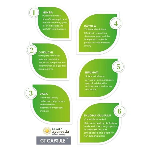  Kerala Ayurveda GT Capsules - Kerala  - 100Capsules