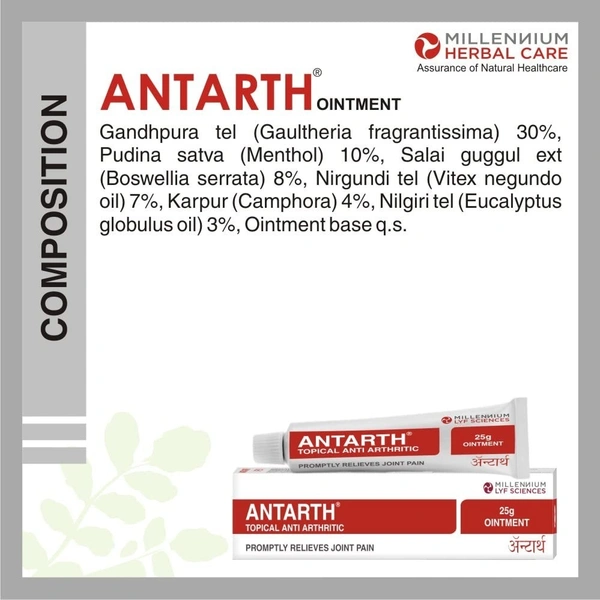 MILLENNIUM HERBALS Antarth Ointment - Millennium - 25g