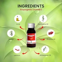 ALOPA HERBAL HEALTHCARE Alopagesic Liniment - Alopa Health - 30Ml