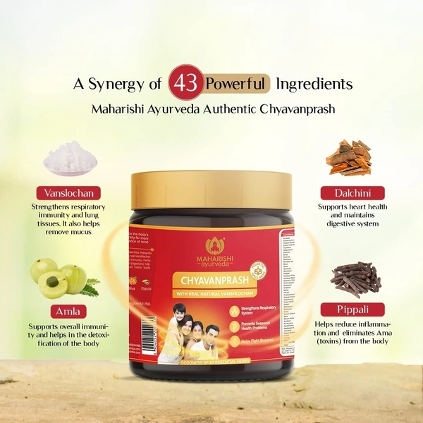 MAHARISHI AYURVEDA  Chyavanaprasha - Maharishi - 500g