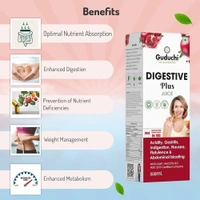 GUDUCHI THE AYURVEDI Digestive Plus Juice - Guduchi - 500ml