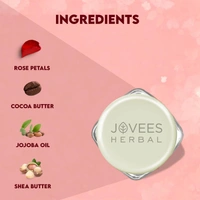 JOVEES HERBAL CARE Sugar & Rose Petal Lip Balm - Jovees  - 8G