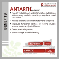 MILLENNIUM HERBALS Antarth Ointment - Millennium - 25g
