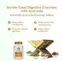 MAHARISHI AYURVEDA  Dizomap Tablet - Maharishi - 10Tablets
