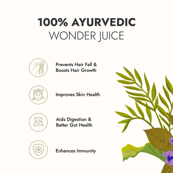 KAPIVA Amla Juice 1L - Kapiva - 1l