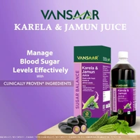 Vansaar Karela & Jamun Juice - Vansaar - 1L