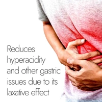 KAPIVA Triphala Plus Capsules - Kapiva - 60Capsules