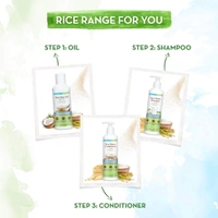 MAMA EARTH Rice Water Conditioner - Mama Earth - 250ml