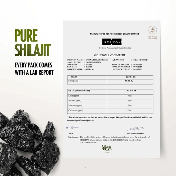 KAPIVA Himalaya Shilajit Resin - Kapiva - 20g