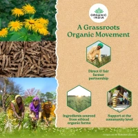 ORGANIC INDIA Breath Free Capsule - Organic - 60Capsule