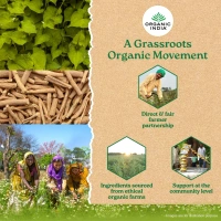 ORGANIC INDIA Flexibility Capsule - Organic - 60Capsule