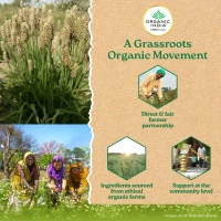 ORGANIC INDIA Psylium Husk  - Organic - 100g