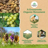 ORGANIC INDIA Triphala Capsule - Organic - 60Capsule