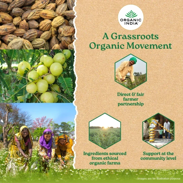 ORGANIC INDIA Triphala Capsule - Organic - 60Capsule