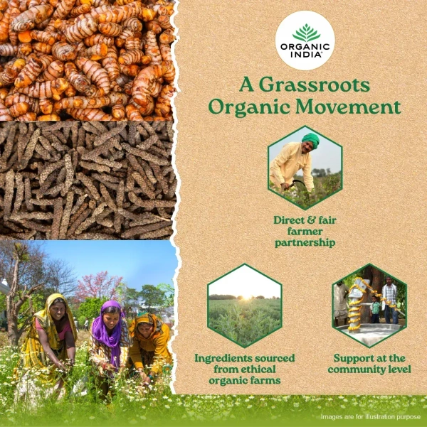 ORGANIC INDIA Turmeric - Organic - 60Capsule