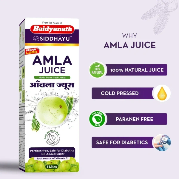 BAIDYANATH  Amla Juice - Baidyanath - 1L