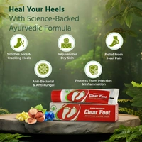 PANKAJA KASTHURI HERBALSg Clear Foot Cream - Pankaja - 25g