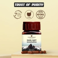 MANKIND PHARMA Ayurveda Shilajit 300Mg Veg Capsule - Upakarma - 90Capsules