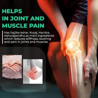 RAJASTHAN HERBALS  Pain Niwaran Churna - Rajasthan - 135gm