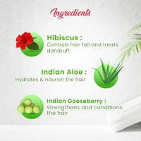 WARRIES HOSPITAL Dhathri Chemparathi Thaali Shampoo - Warries - 100Ml