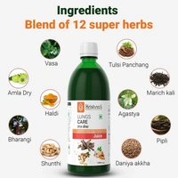 KRISHNA PHARMACY Lungs Care Juice  - Krishna'S - 1000ml