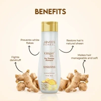 JOVEES HERBAL CARE Ginger Spa Dry Therapy Shampoo - Jovees - 300ml