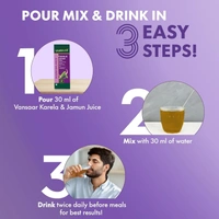 Vansaar Karela & Jamun Juice - Vansaar - 1L