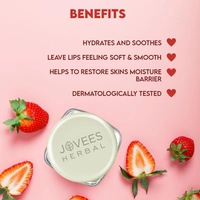 JOVEES HERBAL CARE Strawberry Lip Balm - Jovees  - 8G