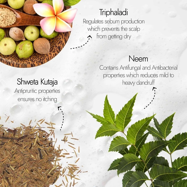 KAPIVA Neem Triphaladi Shampoo (Dandruff Control) - Kapiva - 250ml