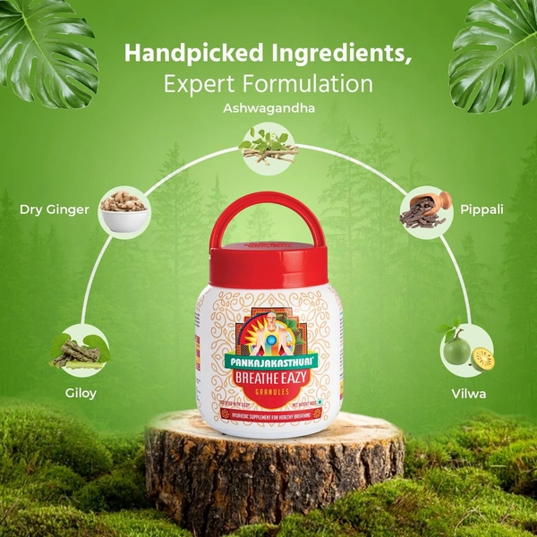 PANKAJA KASTHURI HERBALS Breathe Eazy Granules - Pankaja - 400g