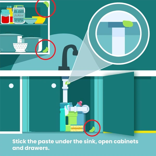 PRAGATHI INTERNATION Exit No Entry Cockroach Vanisher - Pragathi - 100gm