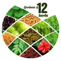 V CARE HERBAL CONCEPTS Herbal Hair Wash Conditioner - V Care - 100Gm