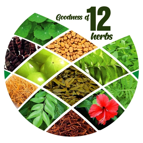 V CARE HERBAL CONCEPTS Herbal Hair Wash Conditioner - V Care - 100Gm