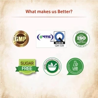 MS.VAL YOU PRODUCTS Amrith Noni Gastrina Syrup Sugar Free - Ms. Val You Product - 150Ml