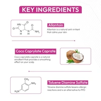 V CARE HERBAL CONCEPTS Shampoo Hair Colur (Triple Plus) - V Care - 180Ml