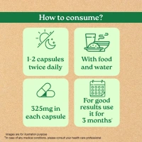 ORGANIC INDIA Breath Free Capsule - Organic - 60Capsule