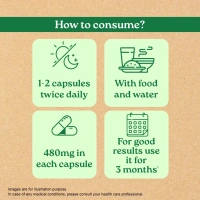 ORGANIC INDIA Triphala Capsule - Organic - 60Capsule